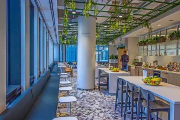 Modern office kitchen with greenery and seating