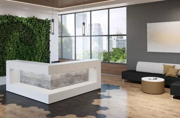 Modern office lobby with plants and city view.